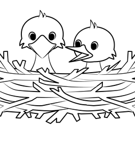 Anti Pajaros
